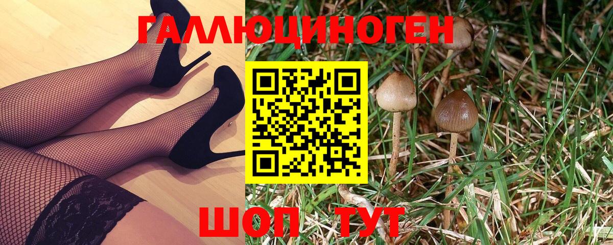 наркота  Галлюциногенные грибы Psilocybe  Вход с VPN  Галлюциногенные грибы мухоморы  Ярцево 